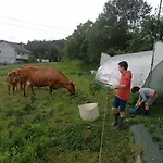 Abrigadoiro De Rexa Barreiros