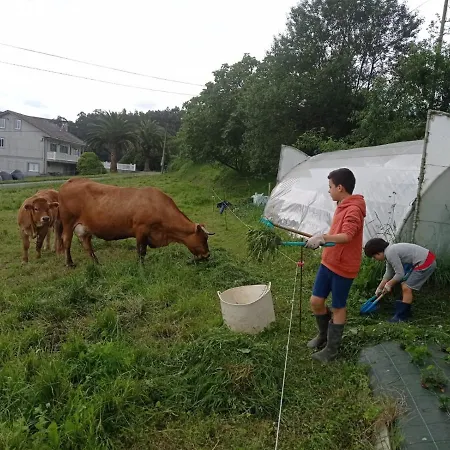 Abrigadoiro De Rexa Barreiros