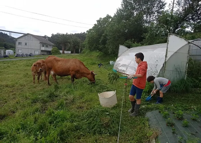 Abrigadoiro De Rexa Barreiros