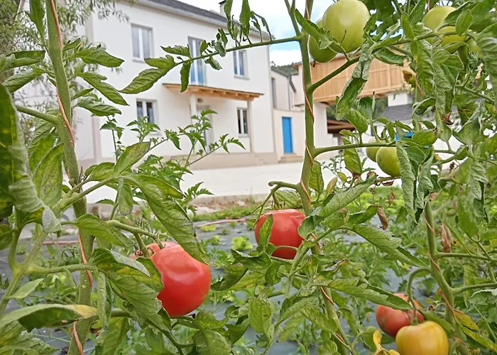 Vakantiehuis Abrigadoiro De Rexa