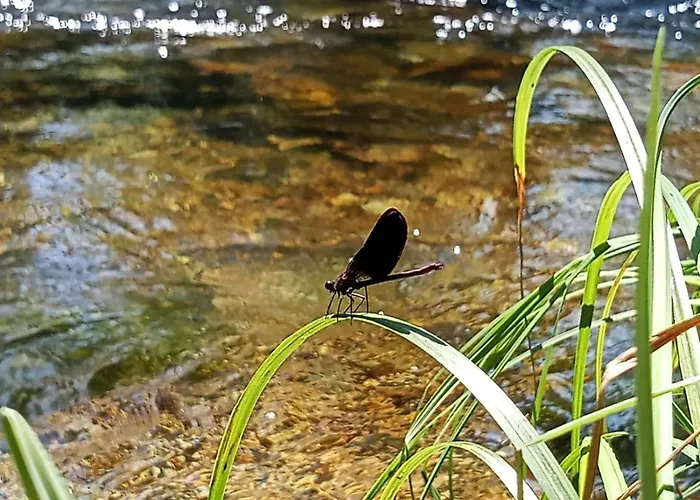 Vakantiehuis Abrigadoiro De Rexa *